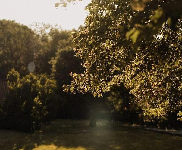 بيت للعطل La Casa De Lastras Ogarrio