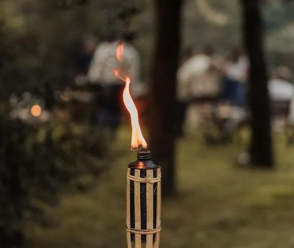 La Casa De Lastras * Ogarrio